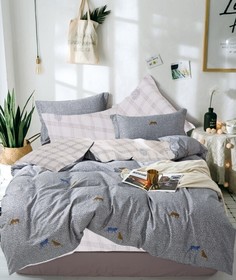 Постельное белье евро (2 нав) Viola’