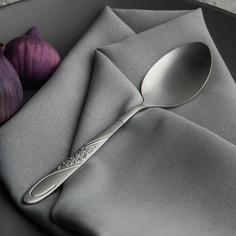 Набор ложек столовых из нержавеющей стали доляна