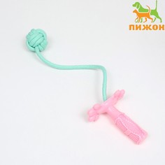 Игрушка канатная с зубочисткой и мячом Пижон