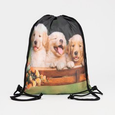 Мешок для обуви на шнурке, цвет черный NO Brand