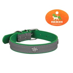 Ошейник Пижон