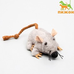 Игрушка для кошек Пижон