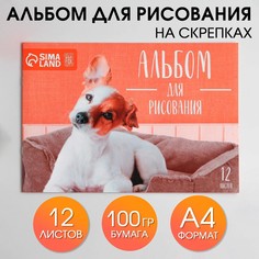 Альбом для рисования на скрепках а4, 12 листов Art Fox Study