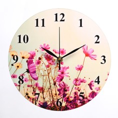 Часы настенные, серия: цветы, Solomon
