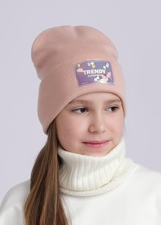 Шапка Clever