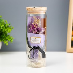 Ночник колба Risalux