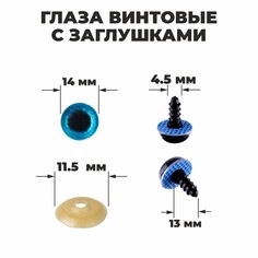 Глаза винтовые с заглушками, Школа талантов