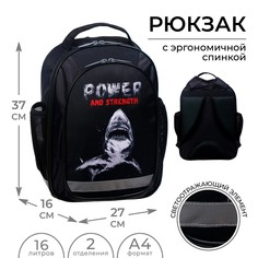 Рюкзак школьный, 37 х 27 х 16 см, эргономичная спинка, calligrata б