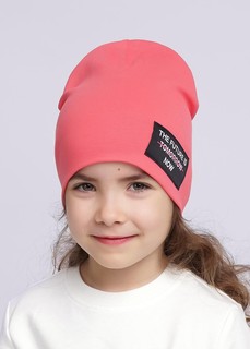 Шапка Clever