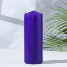 Свеча - цилиндр, 5х15 см, фиолетовая лакированная Богатство Аромата