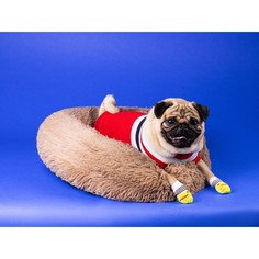 Носки нескользящие, размер m (3/4 * 7,5 см), набор 4 шт, цыпленок Пижон