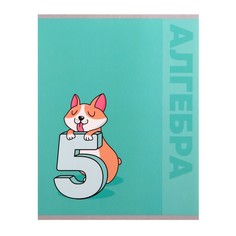 Тетрадь предметная Calligrata