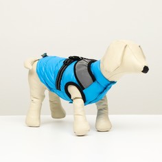 Куртка для собак со светоотражающей шлейкой, размер 8 (дс 23, ог 30, ош 22), голубая NO Brand