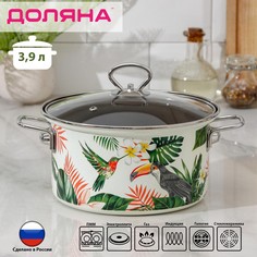 Кастрюля доляна