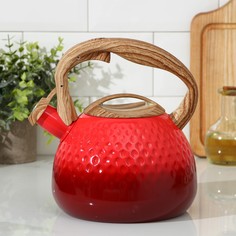 Чайник со свистком из нержавеющей стали mist, 3 л, 23×19×22 см, цвет красный NO Brand
