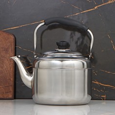 Чайник из нержавеющей стали, 3,5 л, цвет хромированный NO Brand