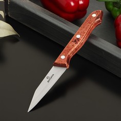 Нож для овощей доляна ecology, лезвие 8,5 см