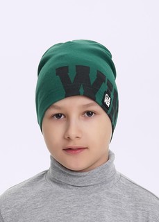 Шапка Clever