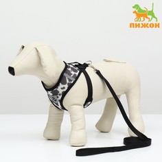 Комплект для собак 5-8 кг, размер m, поводок 120 х 1,5 см, ош 30 см, ог 39 см Пижон