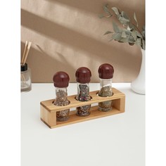 Подставка для специй на 3 емкости, 24×7×5,5 см, береза Adelica