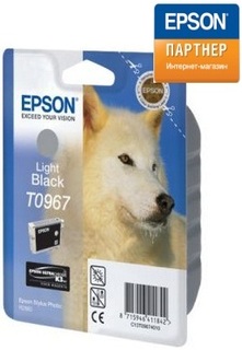 Картридж Epson C13T09674010 для принтера Stylus Pro 2880 (11,1 ml) серый