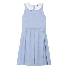 Хлопковое платье Polo Ralph Lauren