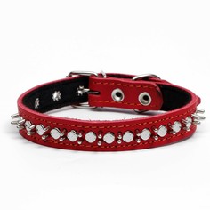 Ошейник кожаный на синтепоне Пижон