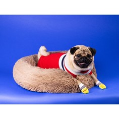 Носки нескользящие, размер l (3,5/5 * 9 см), набор 4 шт, цыпленок Пижон