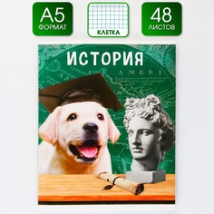 Предметная тетрадь, 48 листов, Art Fox Study