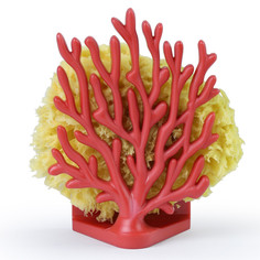 Аксессуары для ванн Qualy Держатель для губок Coral Sponge