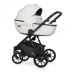 Коляски 2 в 1 Коляска Riko Basic Montana Ecco 2 в 1