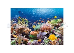 Пазлы Castorland Пазл Коралловый риф 1000 элементов