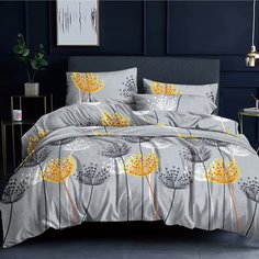 Постельное белье 2-сп, пр200х220, 2н70х70, п175х215, Cleo, полисат, ArtColor, 20/280-AC