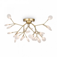 Люстра Потолочная люстра Freya Florencia FR5049CL-27G
