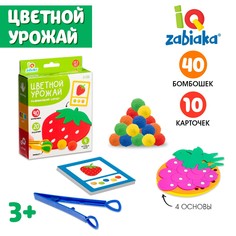 Развивающий сортер Iq Zabiaka