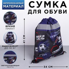 Сумка для обуви со светоотражающим элементом Art Fox Study