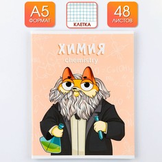 Тетрадь предметная 48 листов, а5, кот, со справочными материалами Art Fox Study