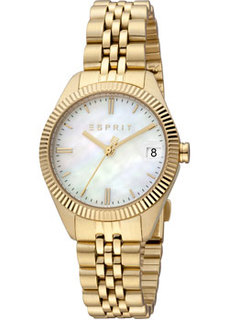 fashion наручные женские часы Esprit ES1L340M0065. Коллекция Madison date