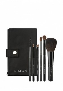 Набор кистей для макияжа Limoni набор подарочный 6 шт / Органайзер / Косметичка / Compact Professional