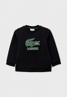 Свитшот Lacoste 