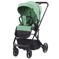 Прогулочные коляски Прогулочная коляска Carrello Alfa CRL-5508