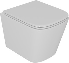 Подвесной безободковый унитаз с сиденьем микролифт D&K Berlin DT1436516