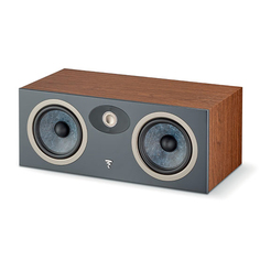 Центральные каналы Focal
