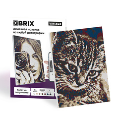 Набор для творчества QBRIX Алмазная фото-мозаика на подрамнике VINTAGE А4, сборка картины по своей фотографии