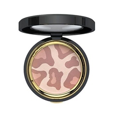 Пудры ETRE BELLE Пудра для лица Leopard Compact Powder