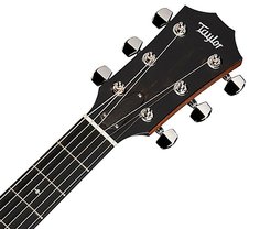 324ce 300 Series Taylor