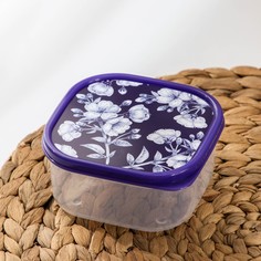 Контейнер пищевой доляна