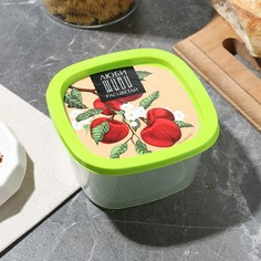 Контейнер прямоугольный пластиковый 0,5 л Food Vibes