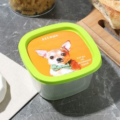 Контейнер прямоугольный пластиковый 0,5 л Food Vibes