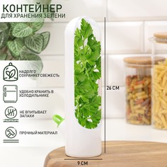 Контейнер пластиковый fresh, для хранения зелени, 500 мл Доляна